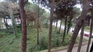 VISTA DAL TERRAZZINO